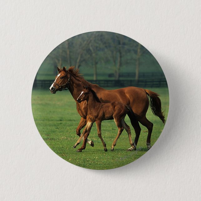 Thoroughbred Mare & Foal 3 6 Cm Round Badge (Front)