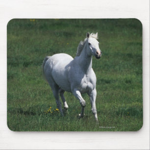 Thoroughbred Mare Mouse Mat