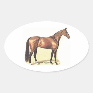 Thoroughbred Oval Sticker