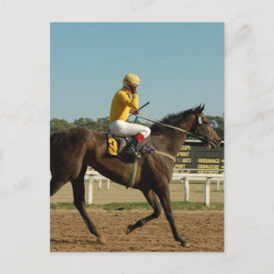 Thoroughbred Race Horse Postcard