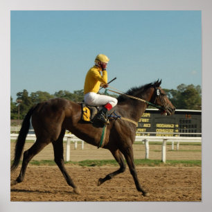 Thoroughbred Race Horse Poster Print