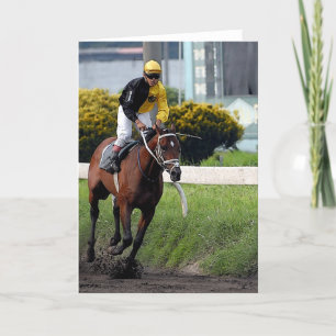 Thoroughbred Racehorse Blank Greeting Card
