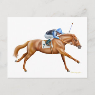 Thoroughbred Racehorse Postcard