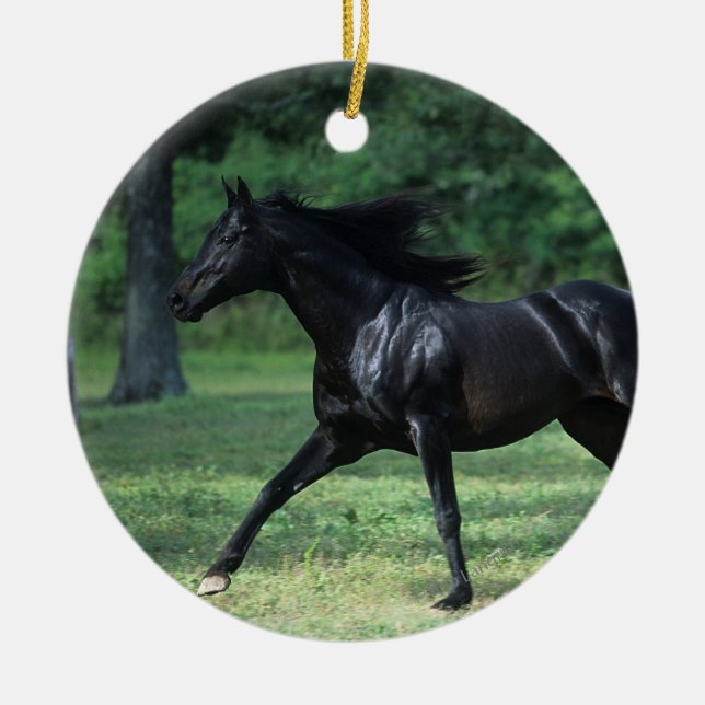 Thoroughbred Running Ceramic Tree Decoration (Front)