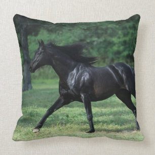 Thoroughbred Running Cushion