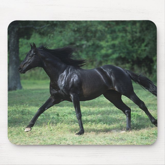 Thoroughbred Running Mouse Mat (Front)