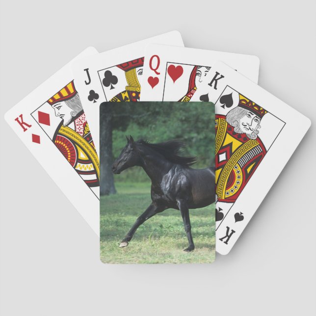 Thoroughbred Running Playing Cards (Back)