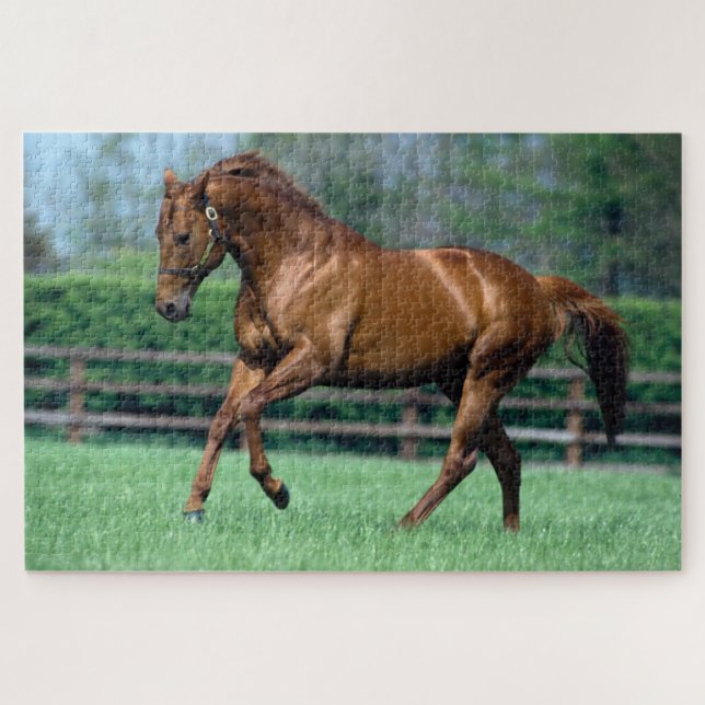 Thoroughbred Stallion, Ireland Jigsaw Puzzle (Horizontal)