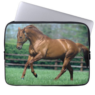 Thoroughbred Stallion, Ireland Laptop Sleeve