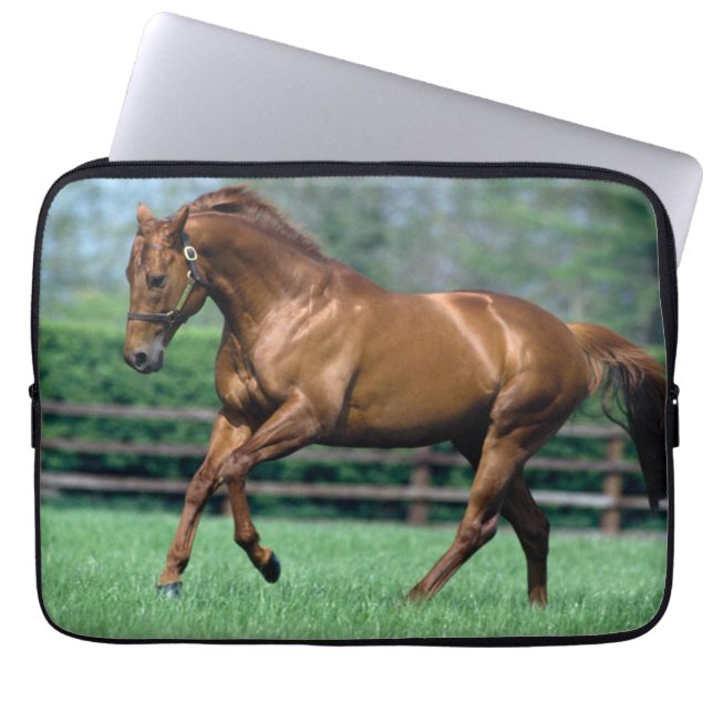 Thoroughbred Stallion, Ireland Laptop Sleeve (Front)