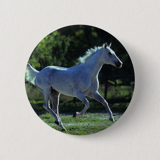 Thoroughbred Stallion Running 6 Cm Round Badge (Front)