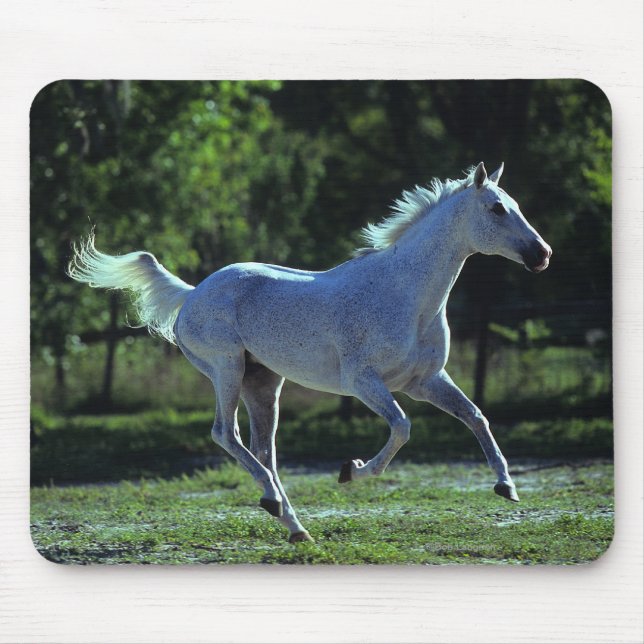Thoroughbred Stallion Running Mouse Mat (Front)