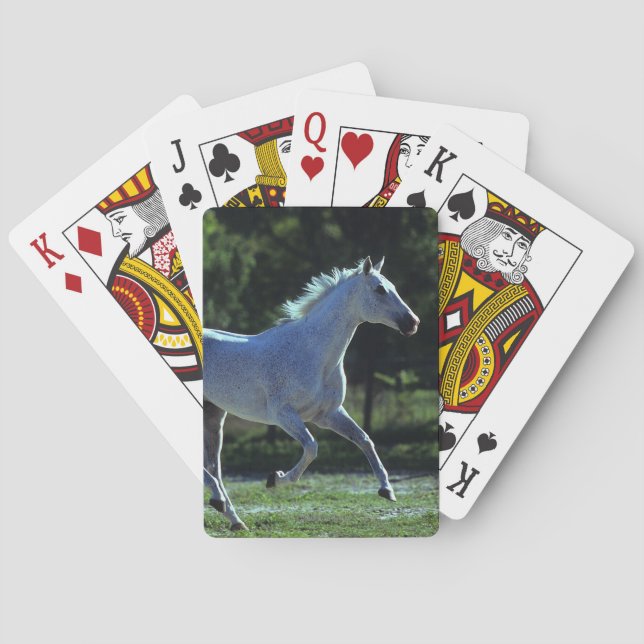 Thoroughbred Stallion Running Playing Cards (Back)