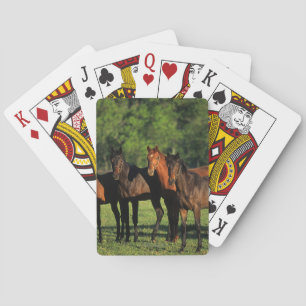 Thoroughbred Yearlings Playing Cards