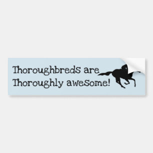 Thoroughbreds are Awesome! Bumper Sticker
