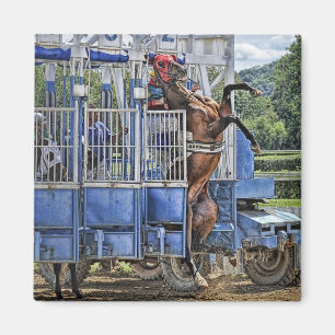Thoroughbreds "Risky Business"  Square Magnet