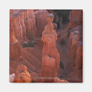 Thor's Hammer hoodoo on Navajo Trail Magnet