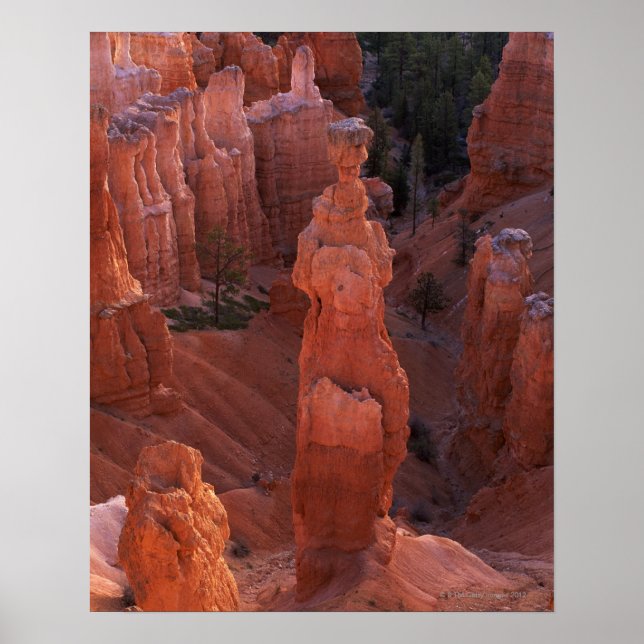Thor's Hammer hoodoo on Navajo Trail Poster (Front)