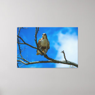 THOSE EYES 60 X 40 WRAPPED CANVAS PRINT