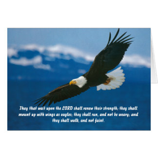 Those Who Wait On The Lord