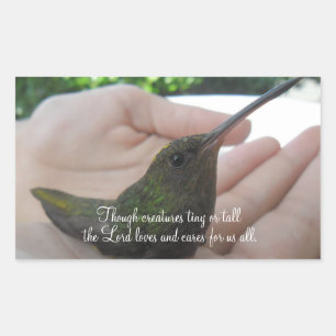 Though Creatures Hummingbird Rectangular Sticker