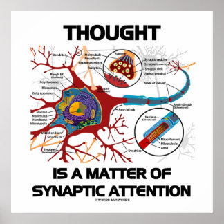 Thought Is A Matter Of Synaptic Attention (Neuron) Poster