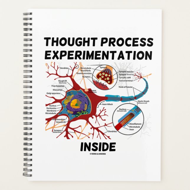 Thought Process Experimentation Inside Neuron Planner (Front)