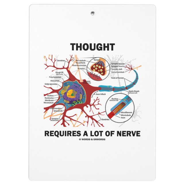 Thought Requires A Lot Of Nerve Neuron Synapse Clipboard (Back)