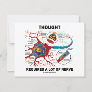 Thought Requires A Lot Of Nerve (Synapse)