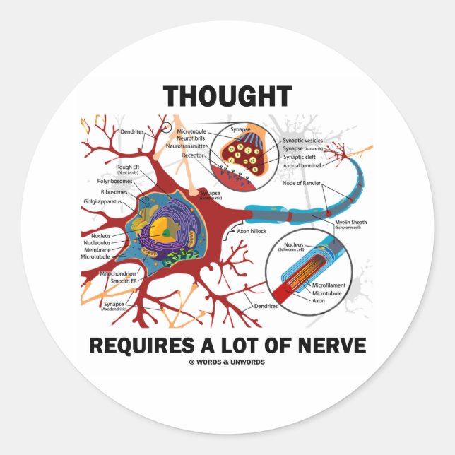 Thought Requires A Lot Of Nerve (Synapse) Classic Round Sticker (Front)