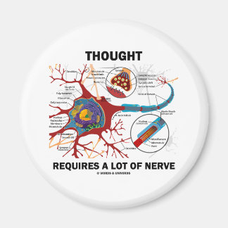 Thought Requires A Lot Of Nerve (Synapse) Magnet