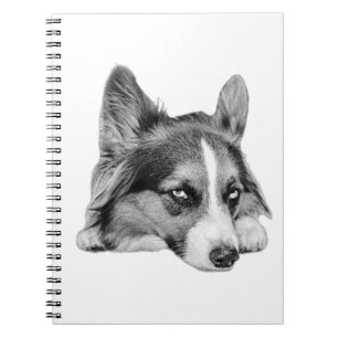 Thoughtful Companion Notebook