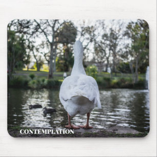 Thoughtful Duck Mouse Mat