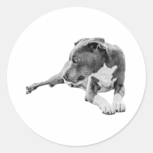 Thoughtful Eyes Classic Round Sticker