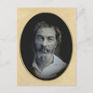 Thoughtful eyes of Poet Walt Whitman Postcard