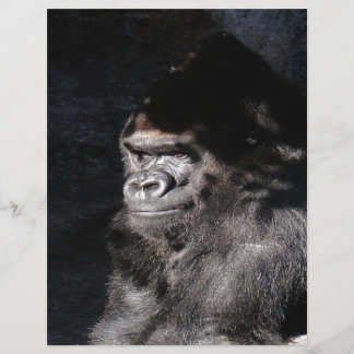 Thoughtful Gorilla