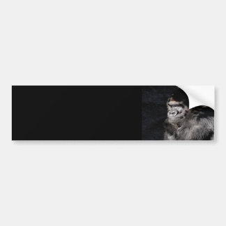 Thoughtful Gorilla Bumper Sticker