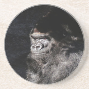 Thoughtful Gorilla Coaster