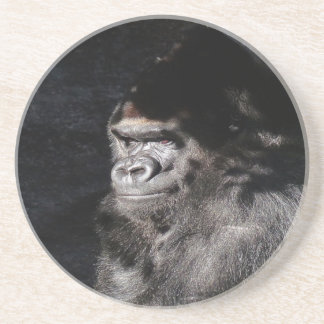 Thoughtful  Gorilla Coaster