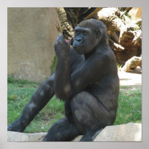 Thoughtful Gorilla Posters