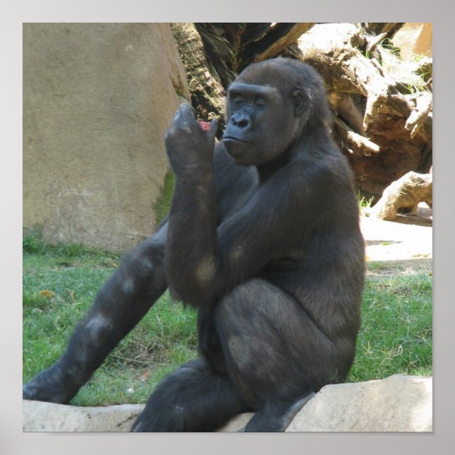 Thoughtful Gorilla Posters (Front)