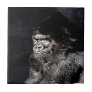 Thoughtful  Gorilla Tile