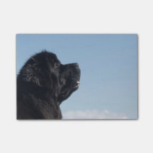 Thoughtful Inka Postit Note