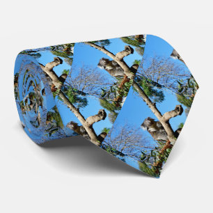 Thoughtful Koala Bear In A Tree, Tie