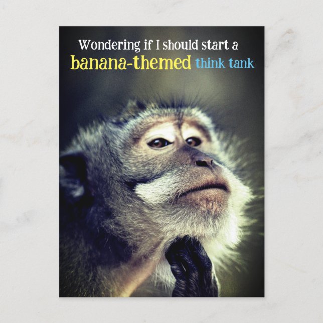 Thoughtful monkey thinking funny quote holiday postcard (Front)