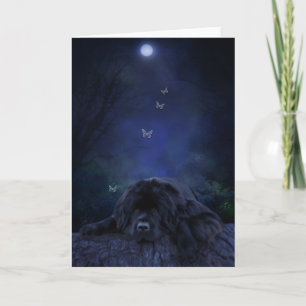 Thoughtful moonlight newfoundland greeting card