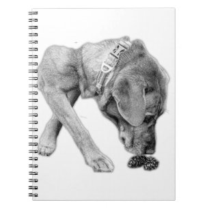 Thoughtful Pause in Black and White Notebook
