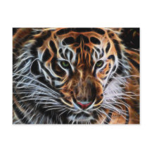 Thoughtful Tiger