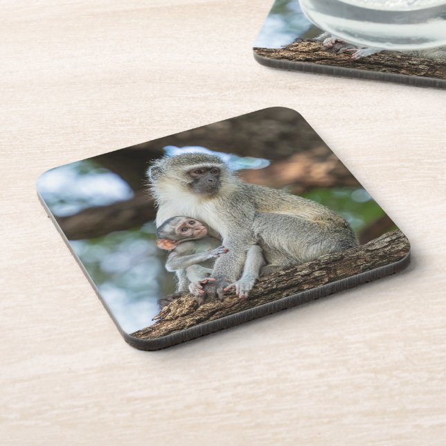 Thoughtful Vervet Monkey – Nature Inspired Coaster (Left Side)