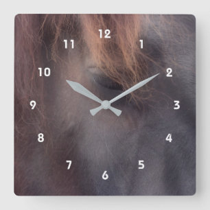 Thoughts Eye Of A Horse Animal Square Wall Clock